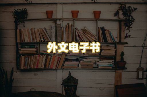 外文电子书